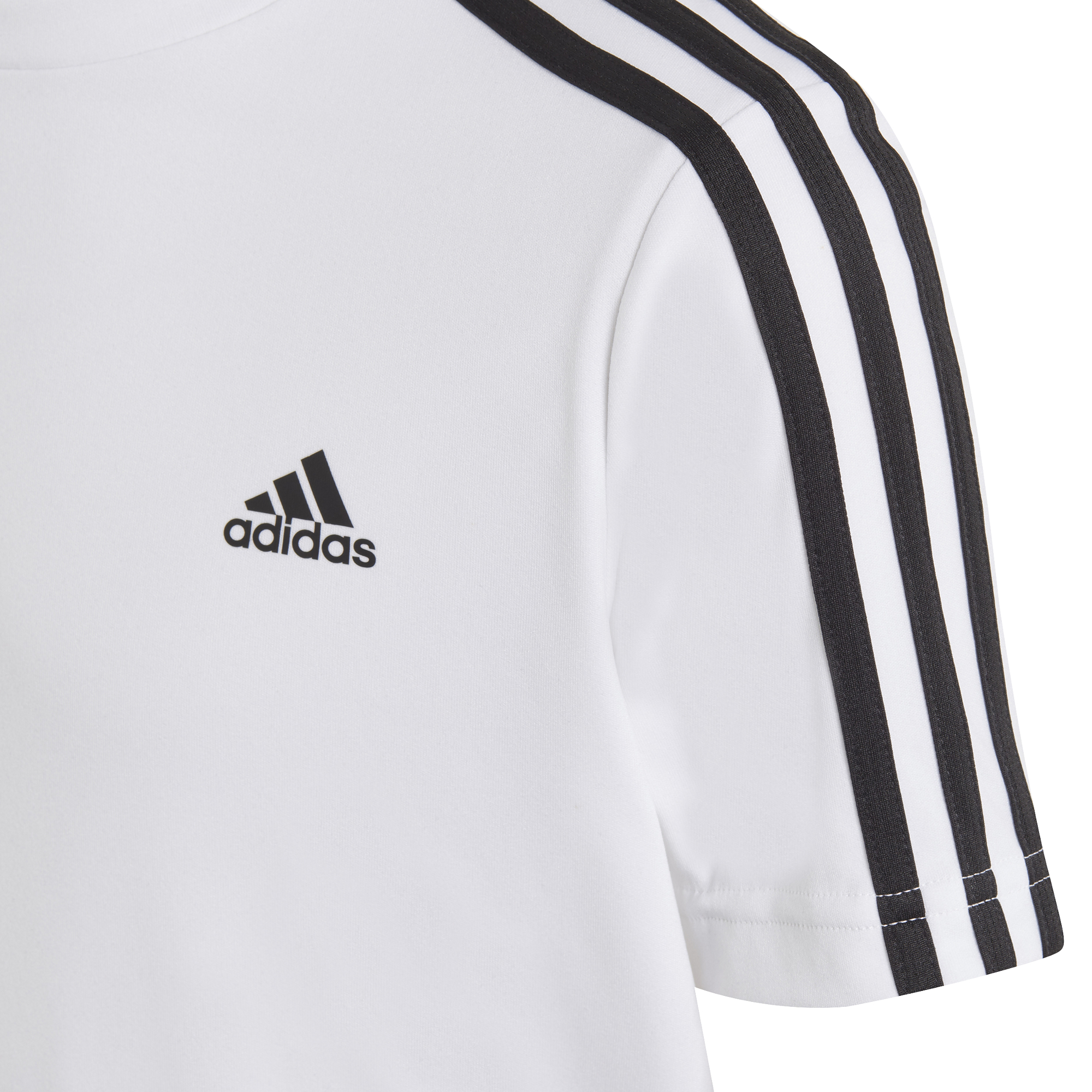 Conjunto Adidas Badge Of Sports