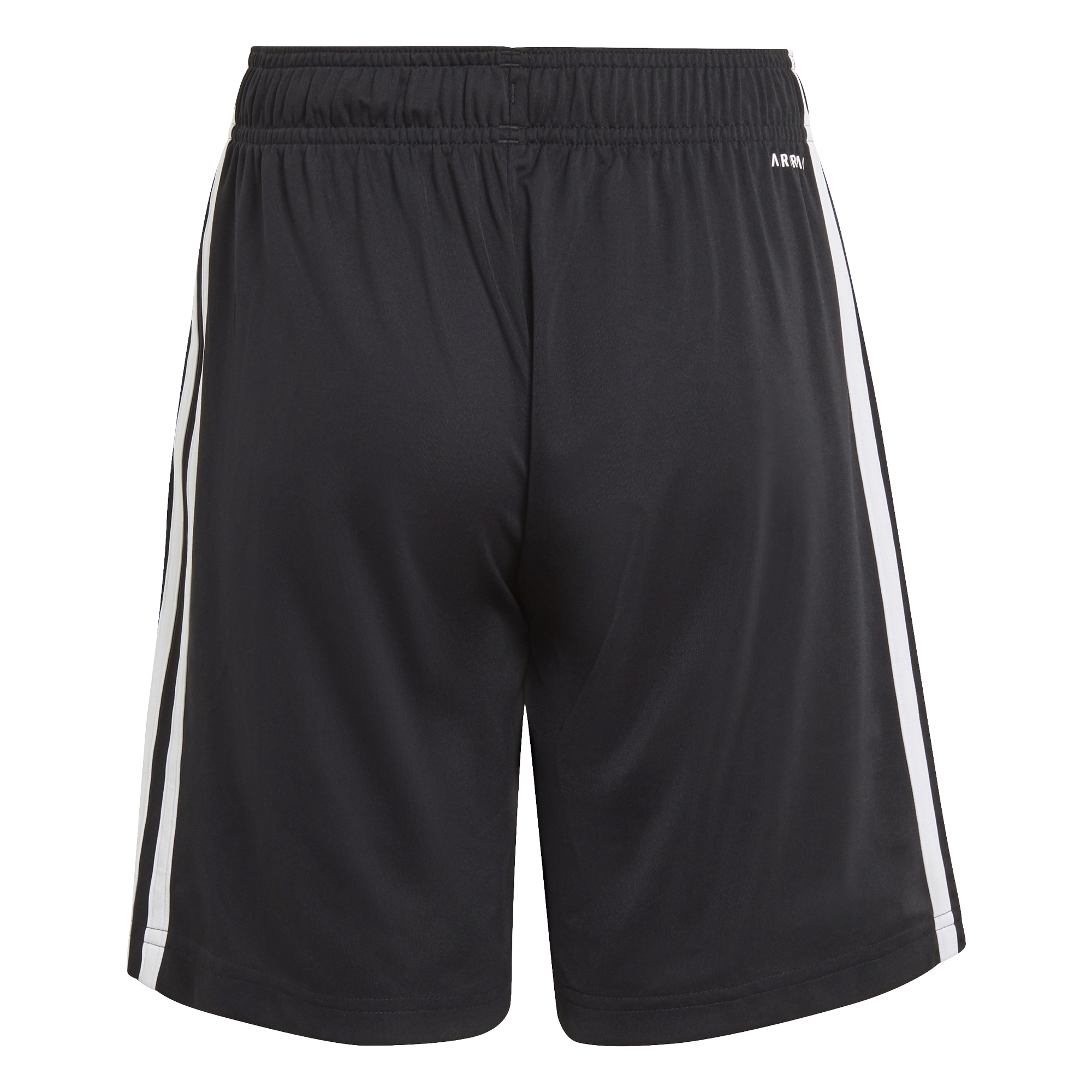 Conjunto Adidas Badge Of Sports