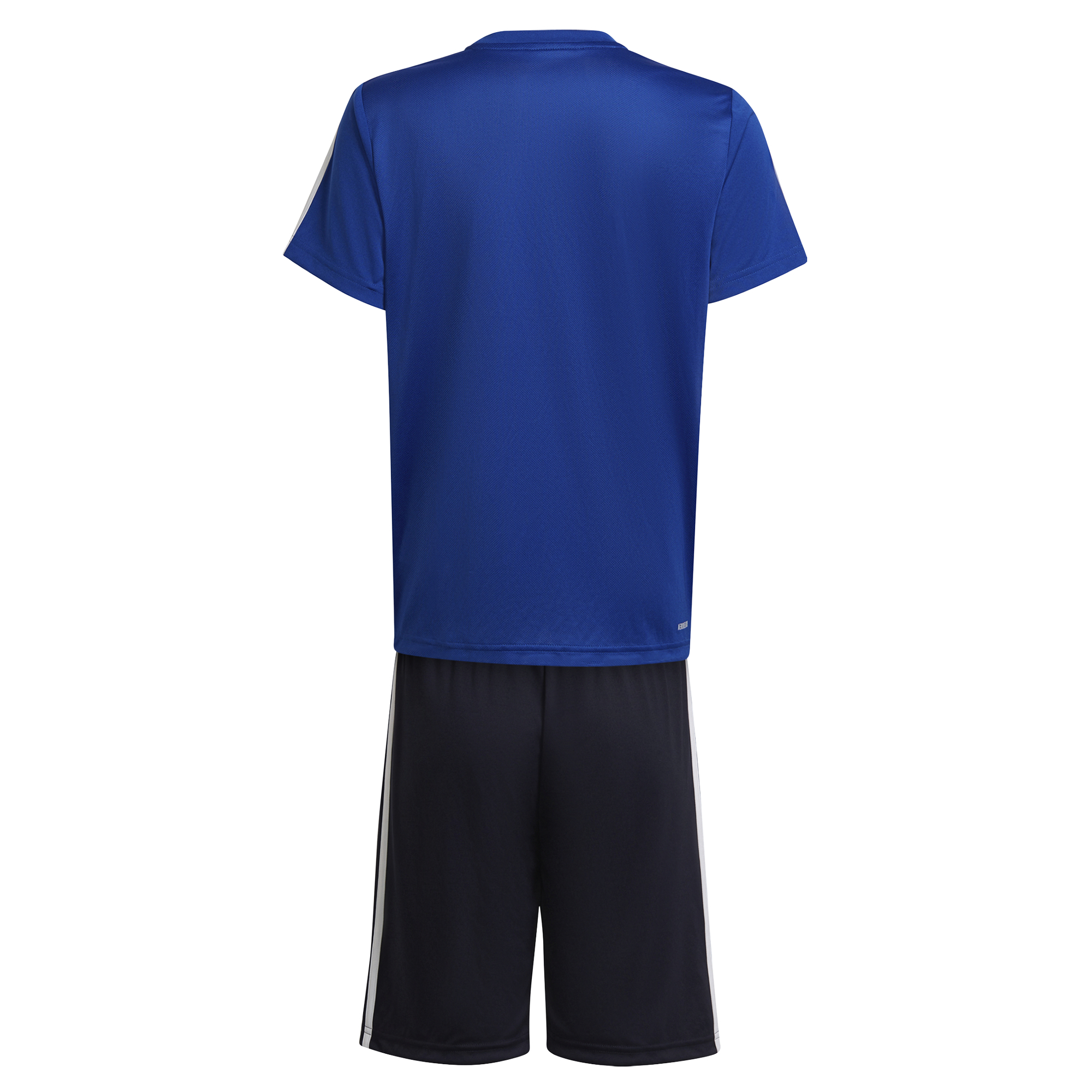 Conjunto Adidas Badge Of Sports