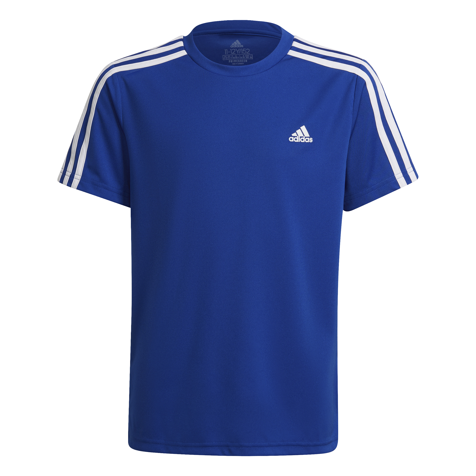 Conjunto Adidas Badge Of Sports