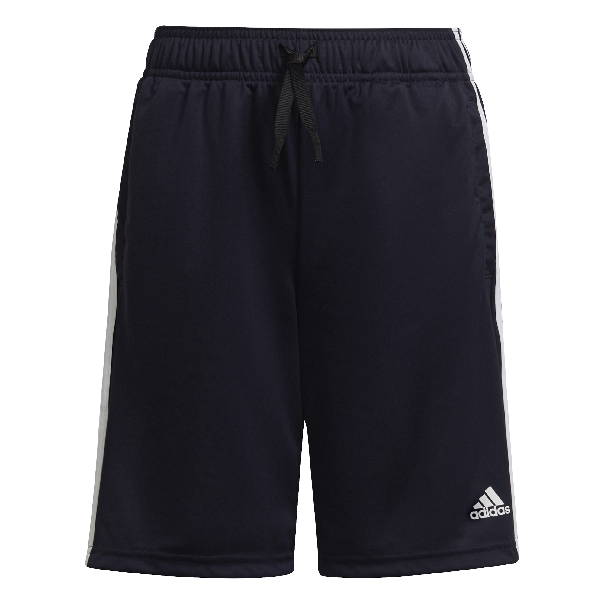 Conjunto Adidas Badge Of Sports
