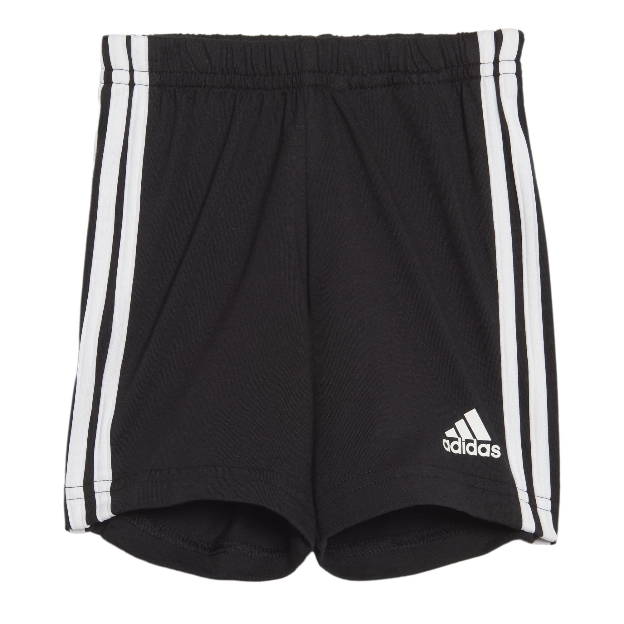 Conjunto Adidas Badge Of Sports