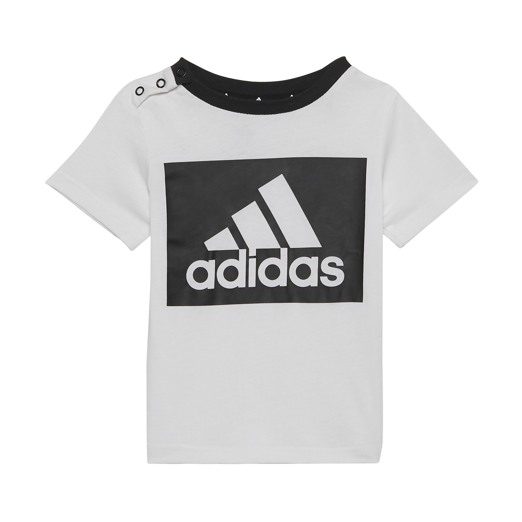Conjunto Adidas Badge Of Sports