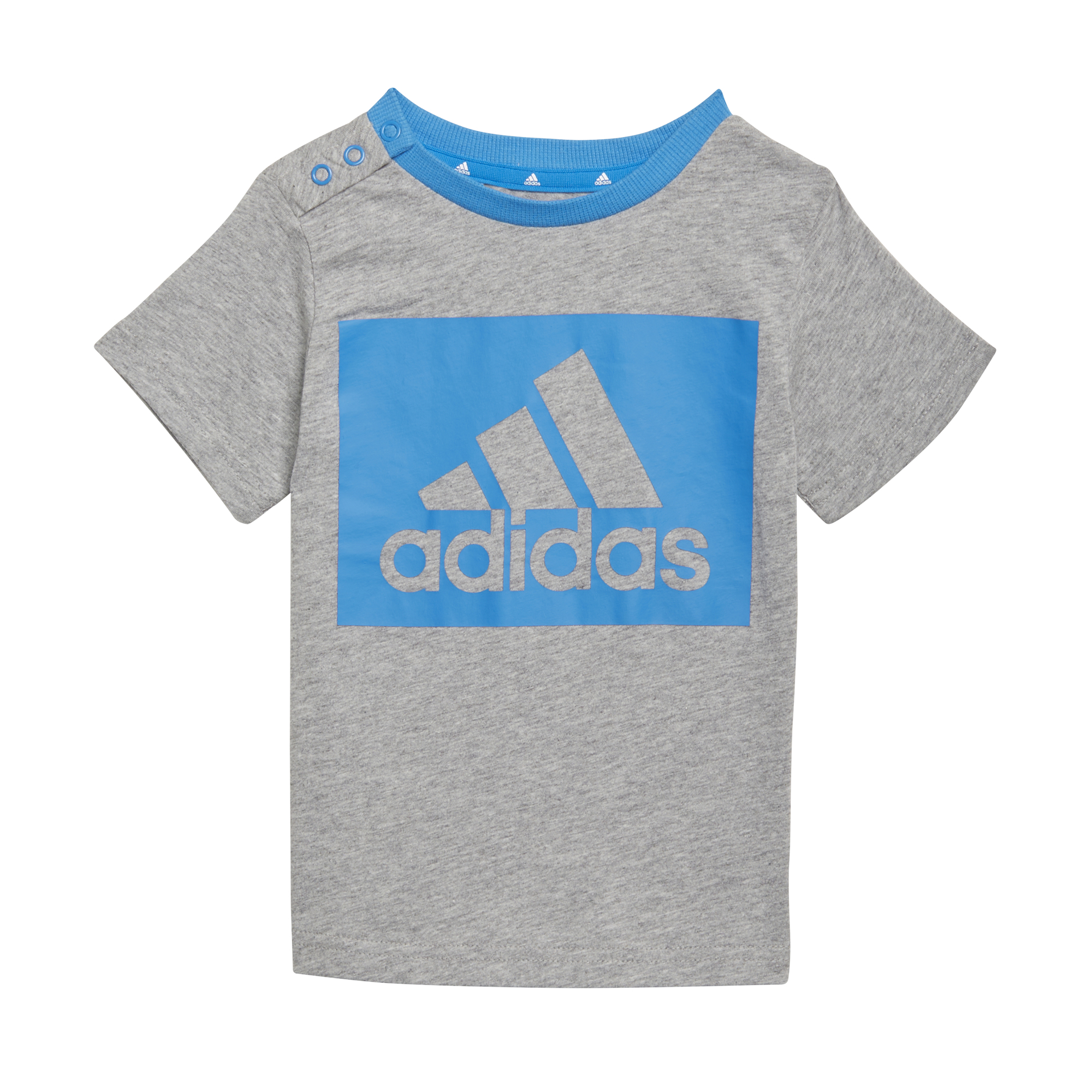 Conjunto Adidas Badge Of Sports
