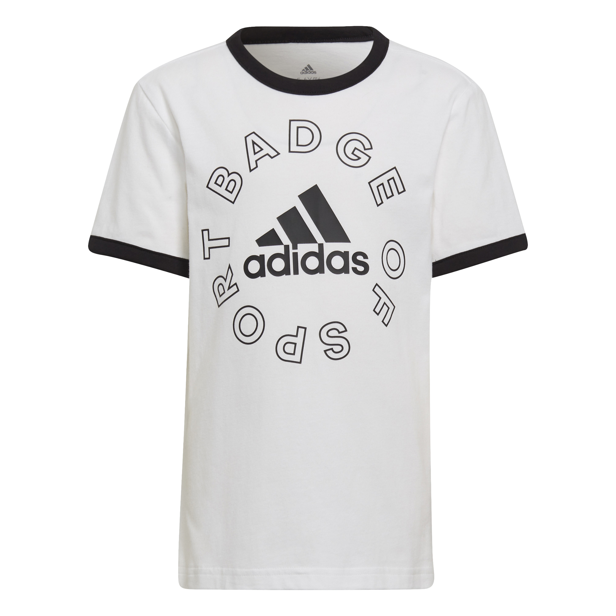 Conjunto Adidas Badge Of Sports