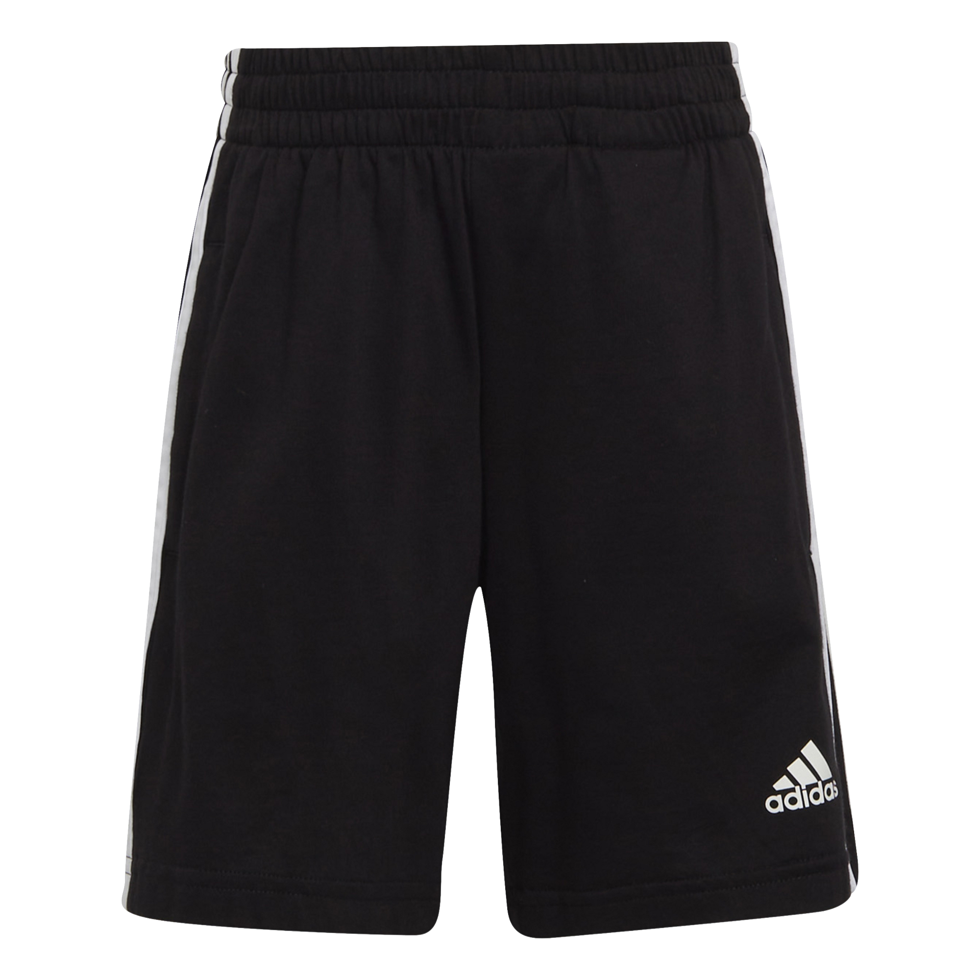 Conjunto Adidas Badge Of Sports