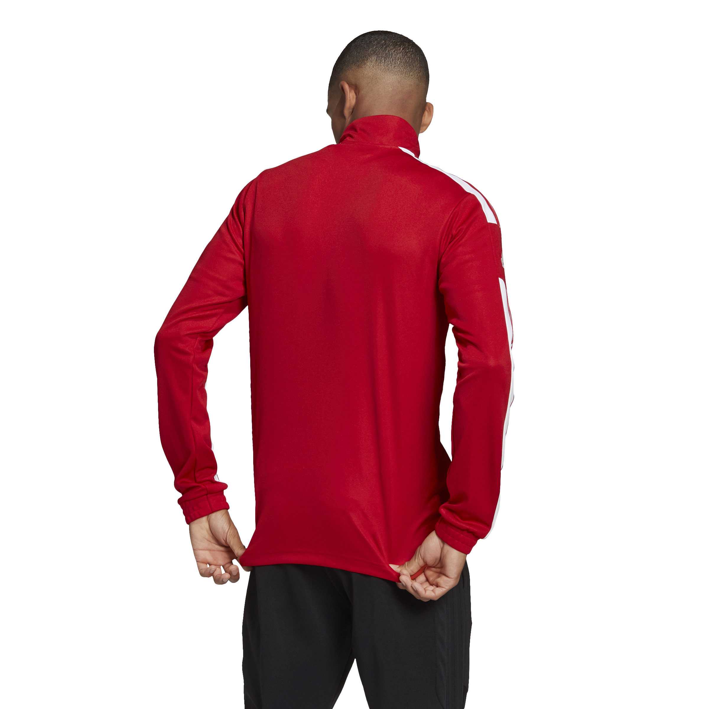 Chaqueta Adidas Squadra Roja
