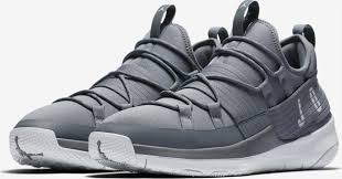 Zapatilla Nike Air Jordan Trainer Pro Cool Gris