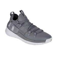 Zapatilla Nike Air Jordan Trainer Pro Cool Gris