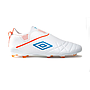 BOTA FG 81462U-GY9 BC