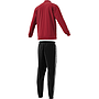 FH6637 Back to Basic 3 Stripes Tracksuit active maroon/black
