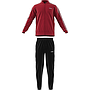 FH6637 Back to Basic 3 Stripes Tracksuit active maroon/black