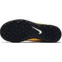 BOTA TF 831954 801 NJ