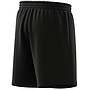 ESSENTIALS SHORT