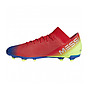 BOTA FG BC0316 RJ