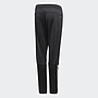PANTALON ENTRENAMIENTO REGISTRA 18 NG/BC