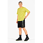 RAINBOW SCRIPT LOGO SWEAT SHORTS