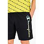 RAINBOW SCRIPT LOGO SWEAT SHORTS