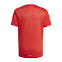 Camiseta Adidas Badge of Sports