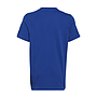 Camiseta Adidas Badge of Sports