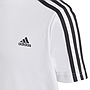 Conjunto Adidas Badge Of Sports
