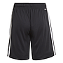 Conjunto Adidas Badge Of Sports