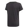 Camiseta Adidas Badge Of Sport