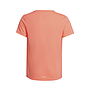 Camiseta Adidas Badge Of Sport