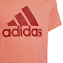 Camiseta Adidas Badge Of Sport