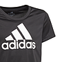 Camiseta Adidas Badge Of Sport