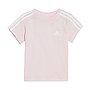 Conjunto Adidas Badge Of Sports