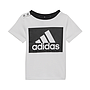 Conjunto Adidas Badge Of Sports