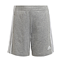 Conjunto Adidas Badge Of Sports