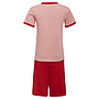 Conjunto Adidas Badge Of Sports