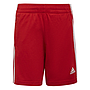 Conjunto Adidas Badge Of Sports