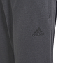 Chándal Adidas Colorblock Big Badge Of Sport