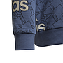 Sudadera Adidas Sportwear Gris