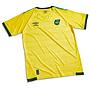 JAMAICA HOME JERSEY 21/22