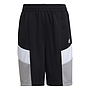 Short Adidas Sportswear