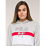 Sudadera Fila Gris