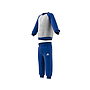 Chándal Adidas Essencials Logo Azul