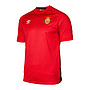MLT22010I-600 T-SHIRT RCD MALLORCA TRAINING'19 PLAYER RED / DARK REDCAMISETA RCD MALLORCA ENTRENO JUGADORES