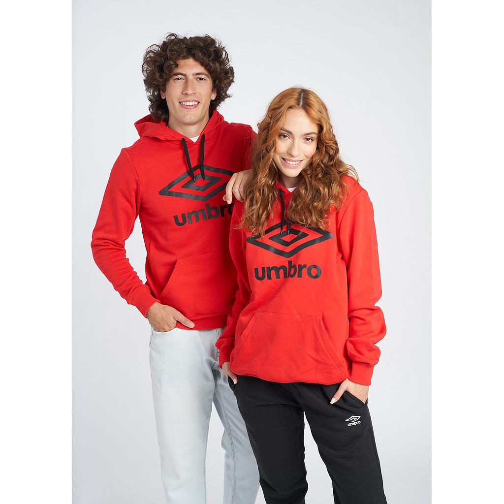 FW LARGE LOGO HOODIE BLACK (copia)