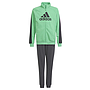 Chándal Adidas Badge Of Sport