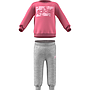 Chándal Adidas Essentials Rosa