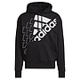 ESSENTIALS LOGO HOODIE (RELAXED FIT)