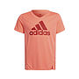 Camiseta Adidas Badge Of Sport