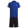 Conjunto Adidas Badge Of Sports Azul