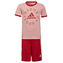 Conjunto Adidas Badge Of Sports