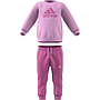 Chándal Adidas Logo Rosa